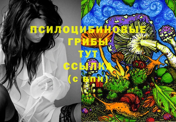 крисы Балахна