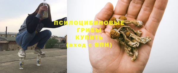 крисы Балахна